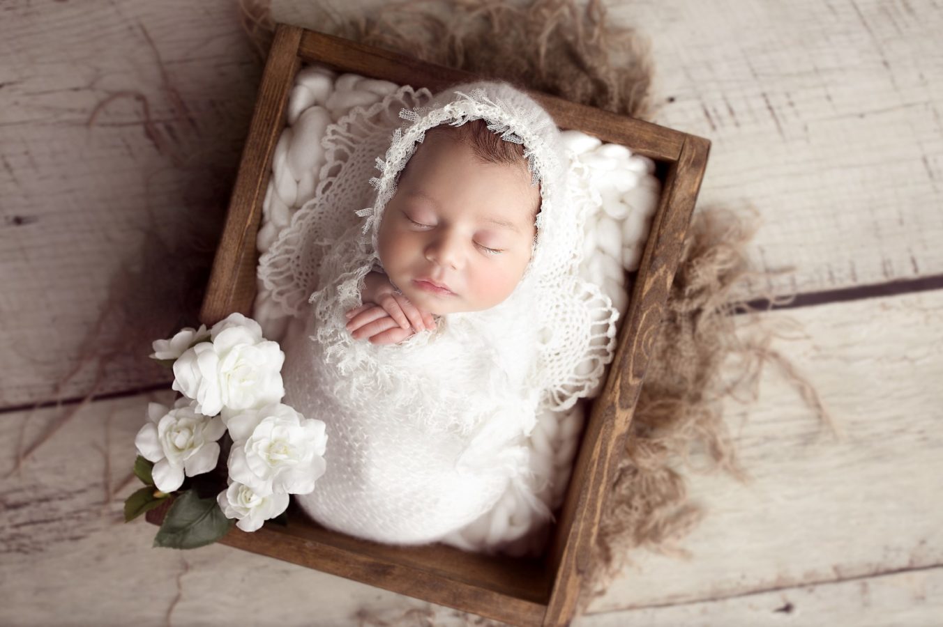 newborn photography edmonton (3)