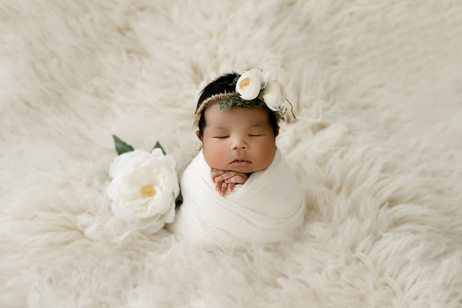 best St Albert baby photographer