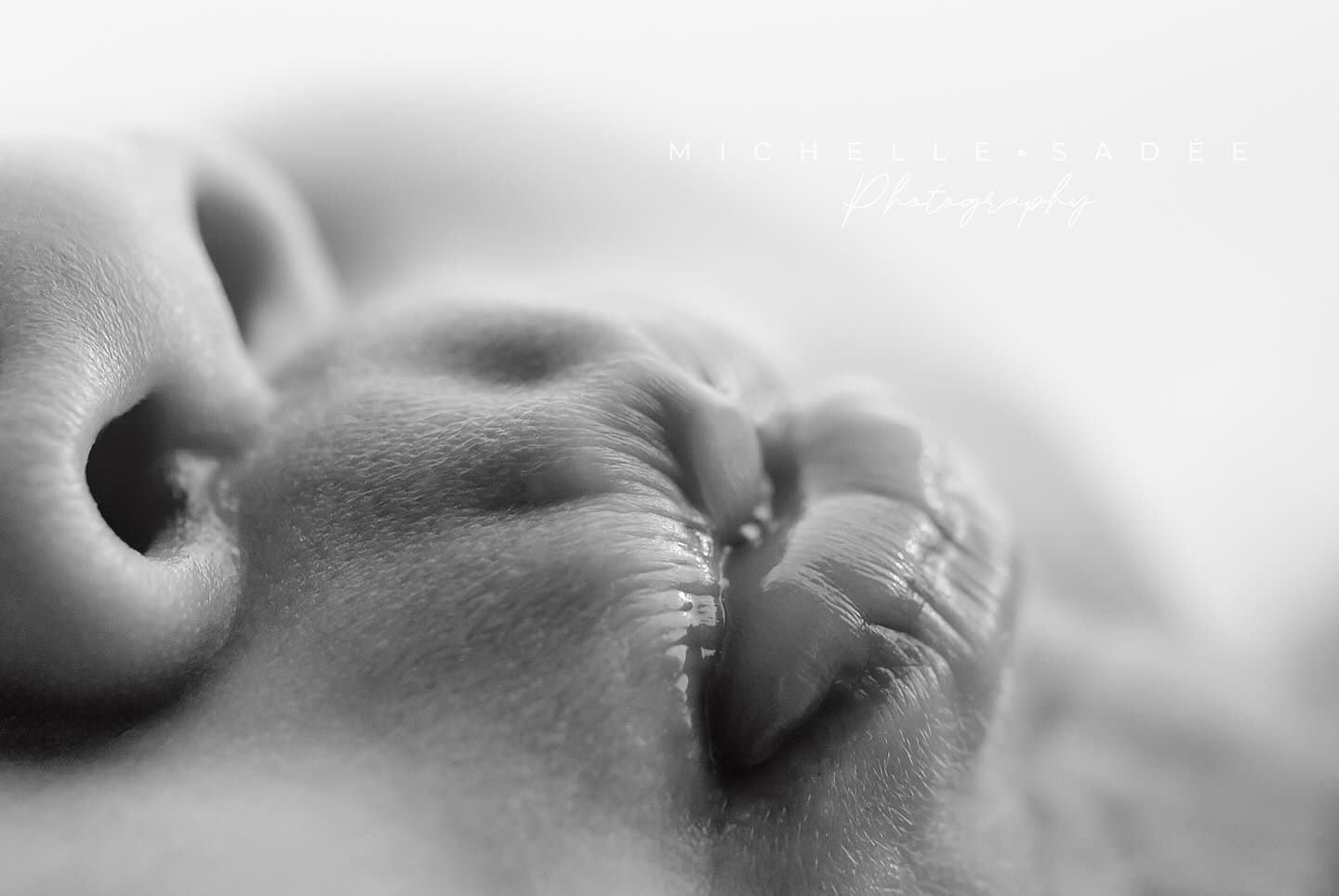 468300339_18350678077193079_3215199570159339403_n baby photographer Edmonton, newborn photography Edmonton, Sherwood Park newborn photoshoot