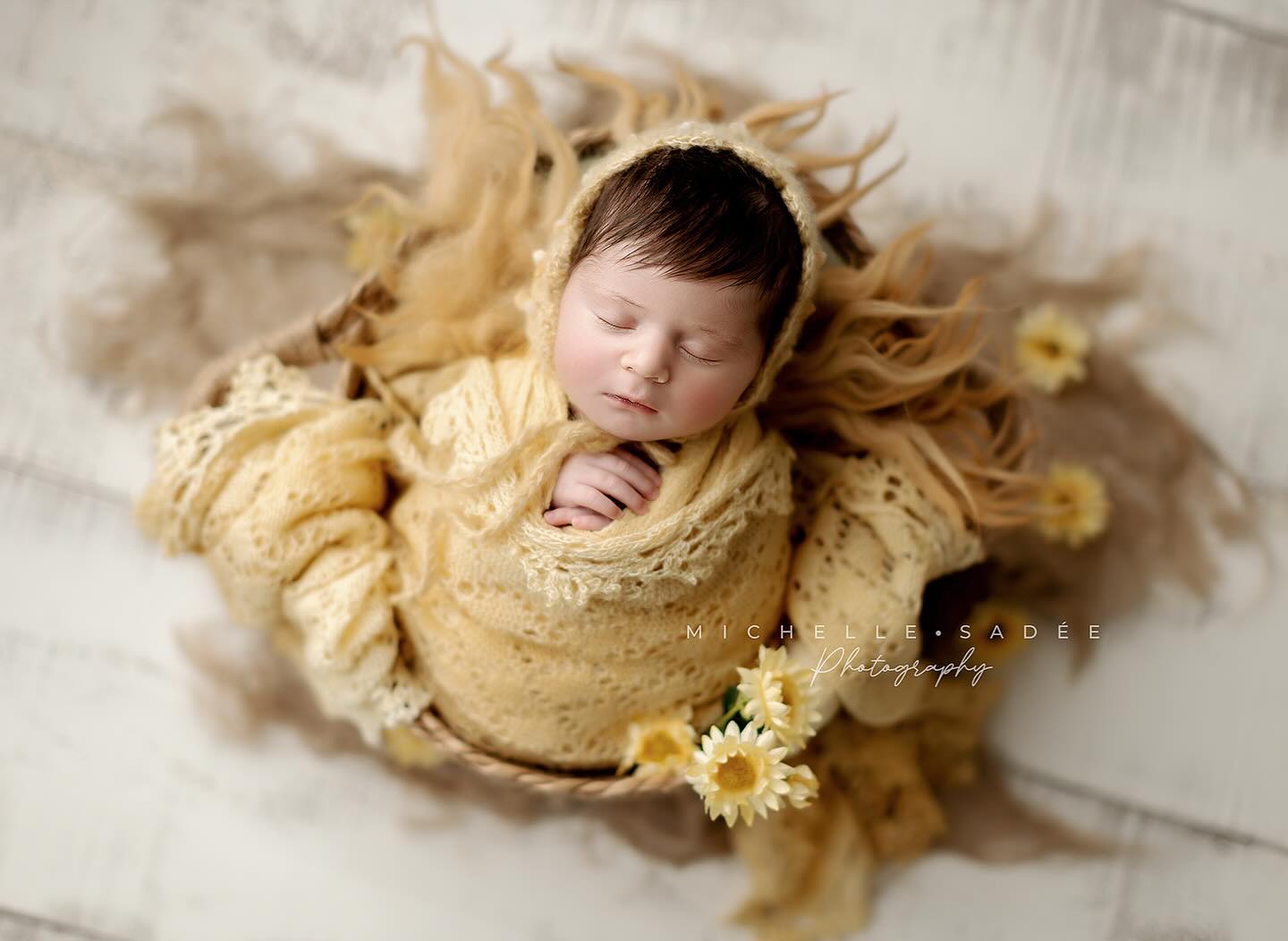 best St Albert newborn portrait studio, Edmonton newborn photoshoot, baby photographer near me