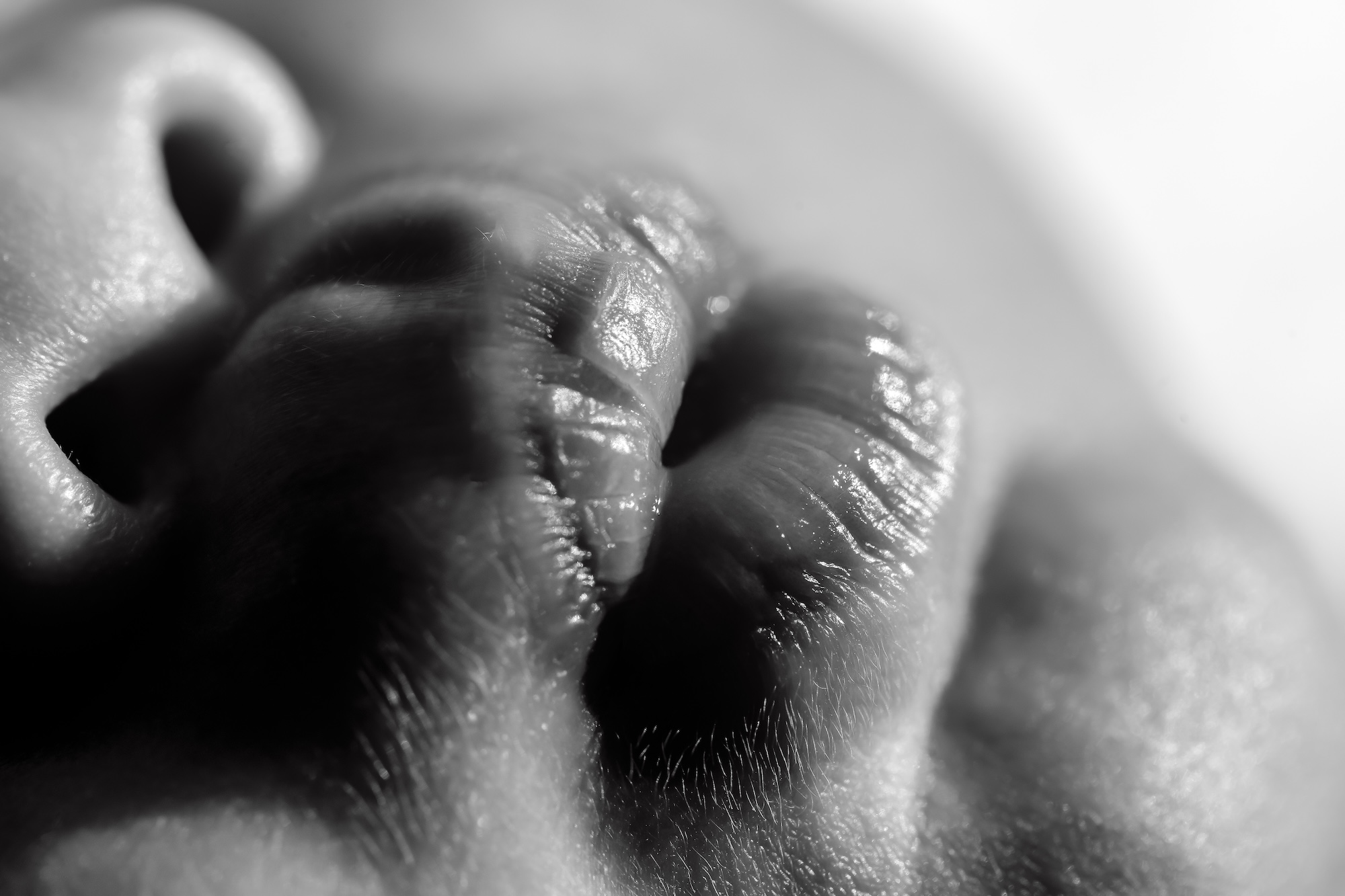 Edmonton newborn photographer, newborn photography near me St Albert A0423-EditBW