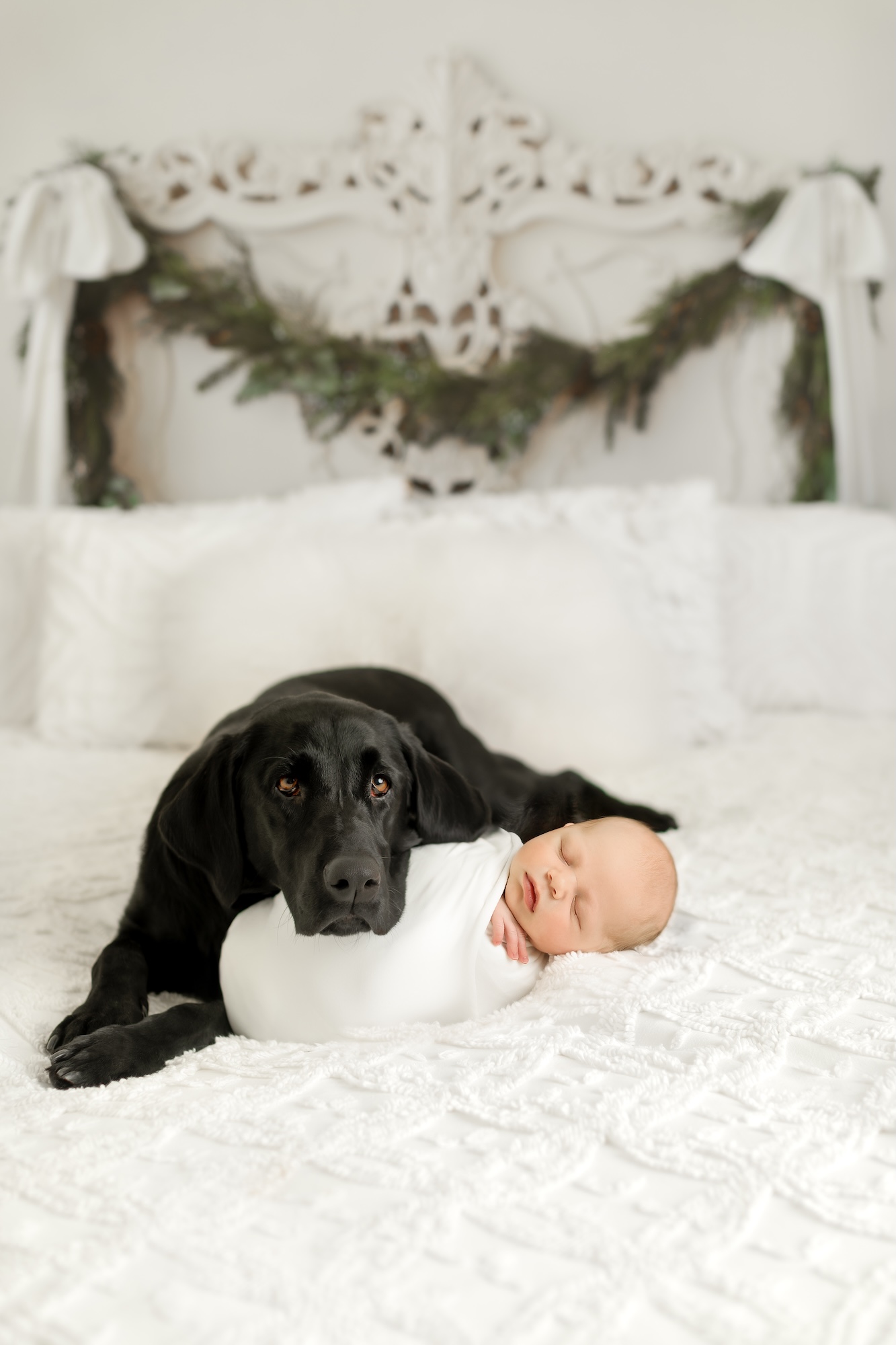 Edmonton newborn photographer, newborn photography near me St Albert A2101-Edit