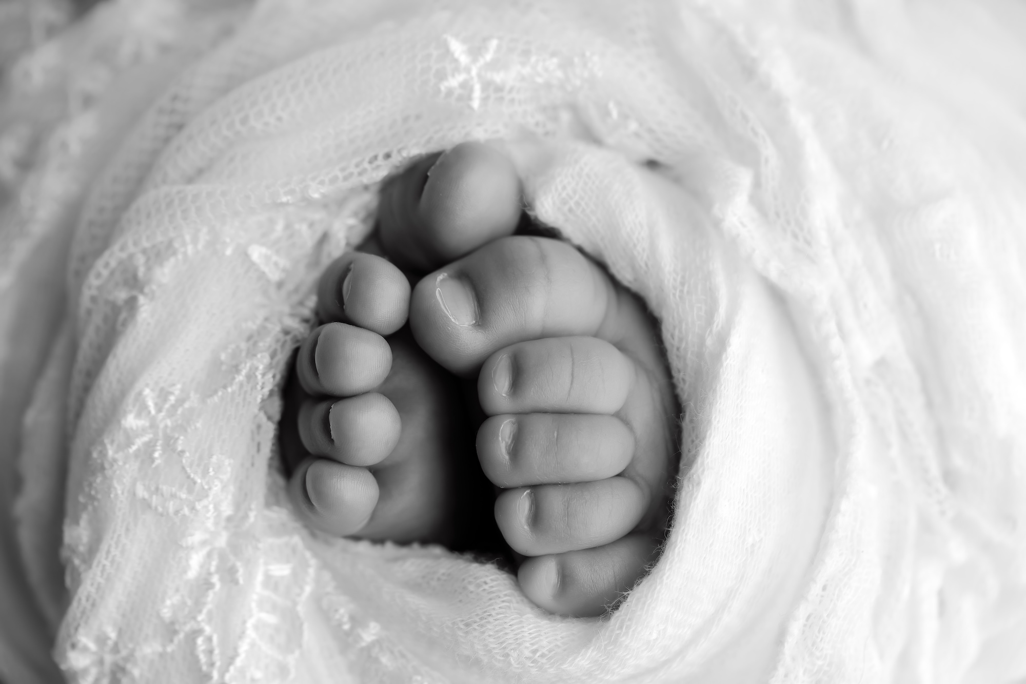 newborn photography Edmonton