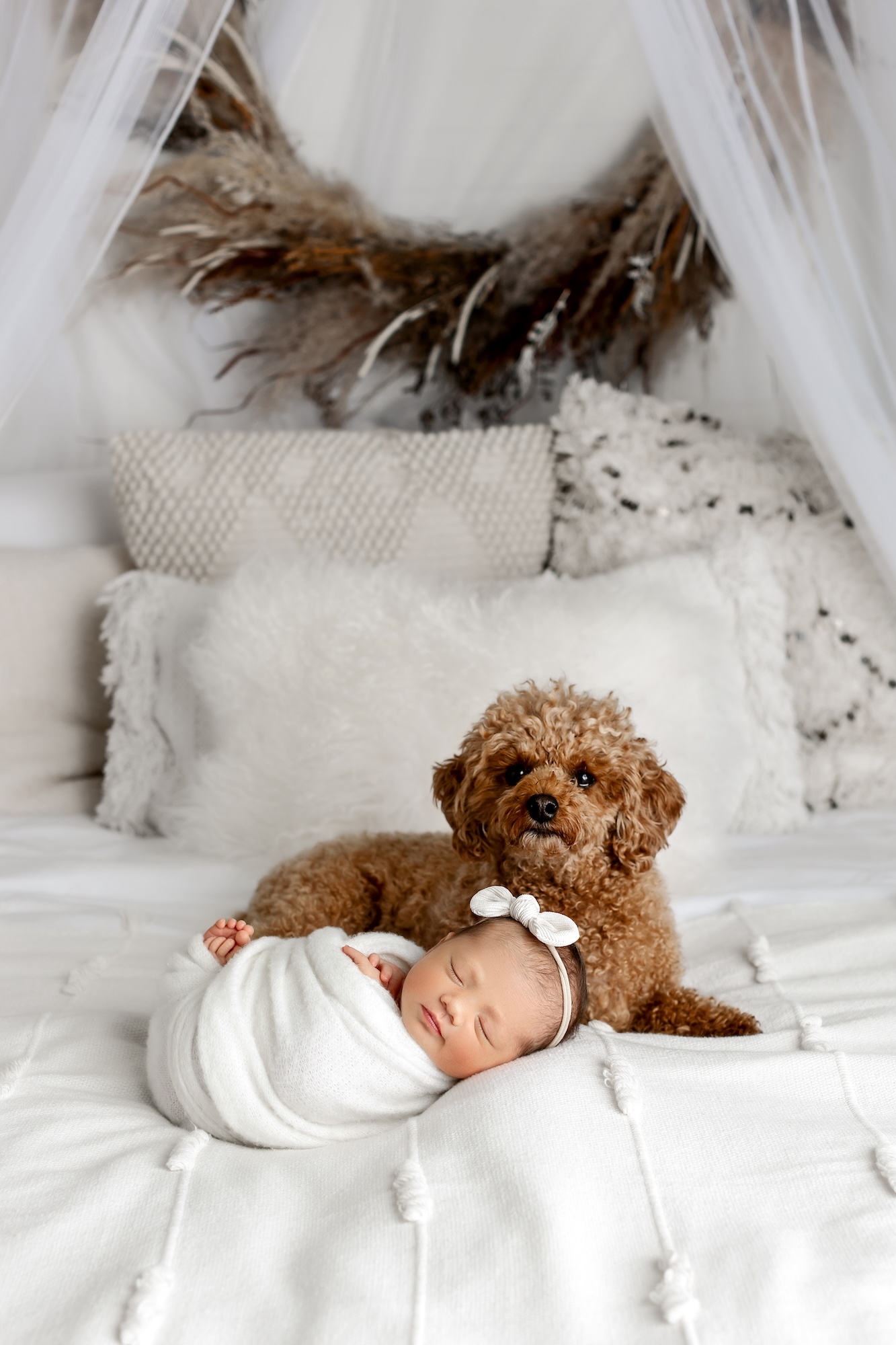 Edmonton newborn photogrpher, newborn photography Edmonton, newborn portraits St Albert, professional newborn photos