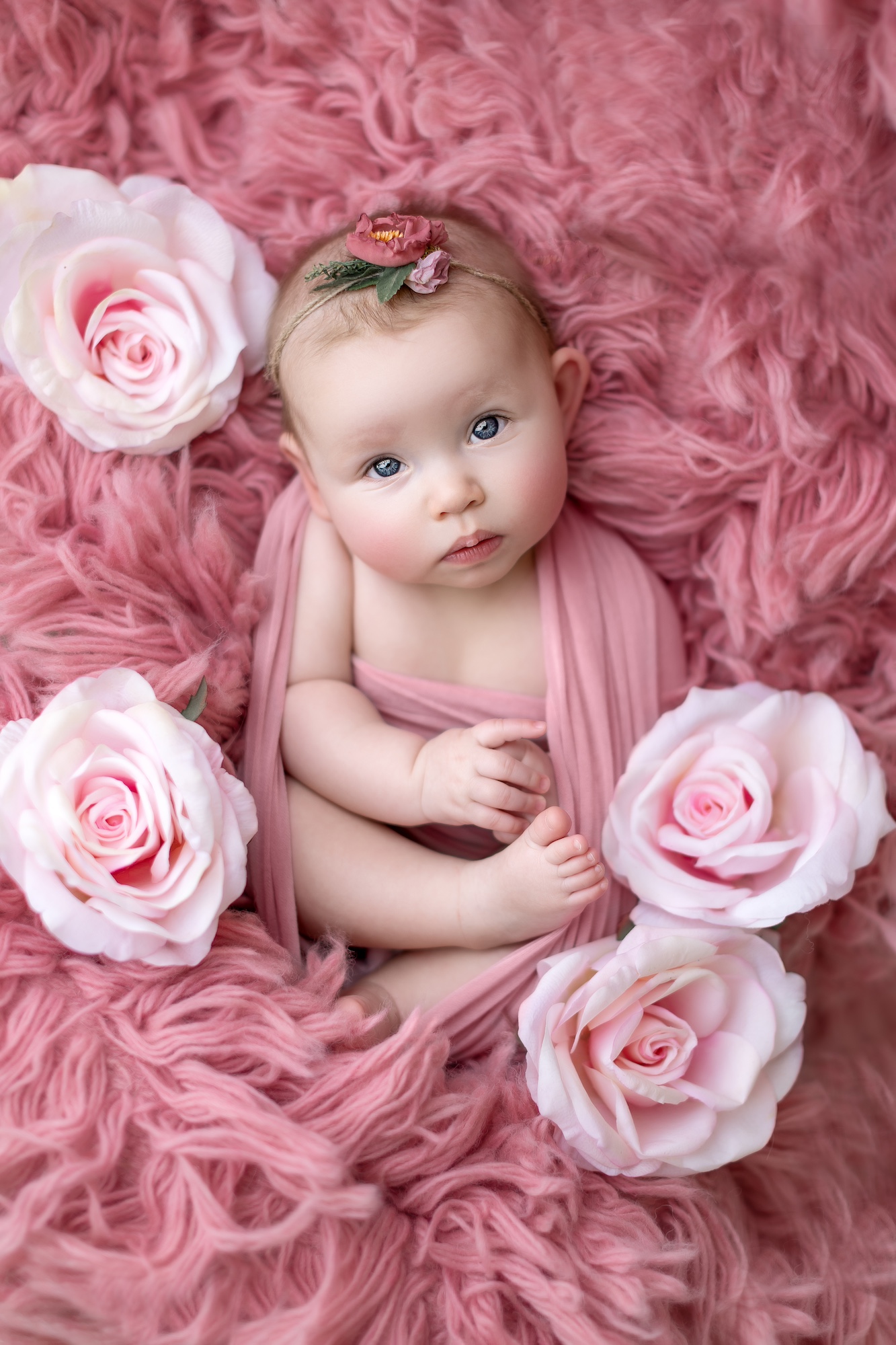 baby photography Edmonton, baby photographer in St Albert, baby portraits near me Edmonton